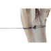 Sea To Summit Clothes Line