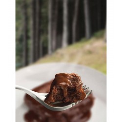 Wayfarer Chocolate Pudding