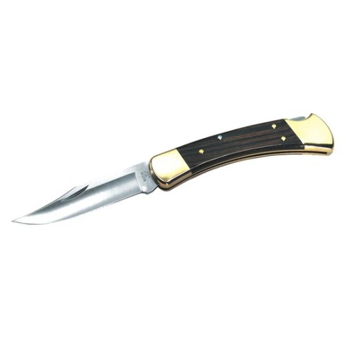Buck 110 Hunter Folding Knife